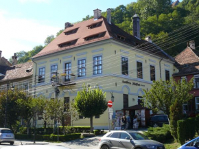 Гостиница Pensiunea Gasthaus Alte Post  Сигишоара